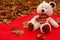 White soft cute teddy bear with scarf sitting on red carpet and fallen leaves as christmas gift and decoration.
