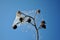 White spider web on dry branch of wild rose last year`s berries on blue sky