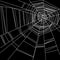 White spider web isolated on the black background