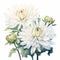White Splendour Chrysanthemum Watercolor Painting: Hyperrealistic Floral Illustration