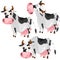 White spotted cow in three poses, vector animals
