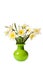 White Spring Daffodil Flower bunch