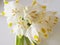 White spring flowers, snowdrops, close up