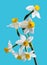 White Spring narcissus