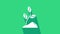 White Sprout icon isolated on green background. Seed and seedling. Leaves sign. Leaf nature. 4K Video motion graphic