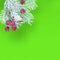 White spruce branch and snow-covered red berries. Christmas concept