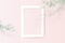 White square empty picture frame with Tree branch on Peach pastel color wall. 3d Vector illustration
