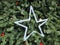 White Star Decorated on Green Christmas Tree