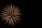 White starburst firework in black sky on the Fourth of July