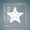White Starfish icon isolated on grey background. Square glass panels. Vector
