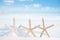 white starfish with ocean, boat, white sand beach, sky and seascape