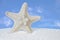 White Starfish And Sand With Blue Sky Background