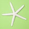 White Starfish on a Vibrant Green Background.