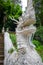 White statue in Wat Palad temple, Chiang Mai, Thailand