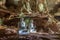 White statues of Buddha in cave.