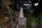 White statuette of a holy angel in a park surrounded by large tropical plants at night