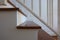 White steel balustrade on brown wooden stair interior decorated modern style