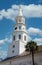 White Steeple with Palm Tree