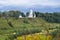 White stone Ascension Cathedral on the picturesque steep slope of the Volga river, Rzhev town, Russia.