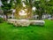 The white stone decorated on fresh green Burmuda grass smooth lawn as a carpet, bush and trees on the background, good maintenance