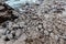 White stone ground wrapped with iron wire mesh for safety at Thangu and Chopta valley in winter in Lachen. North Sikkim, India