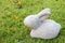 White stone rabbit statue on green grass background