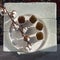 White stool with a branch of cotton flowers on a wall background with a shadow from window