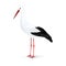 White stork