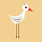 White stork. Bird on a beige background