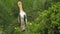 White stork ciconia hunting the fish into the river. White Stork Walking in Greenery.White stork walking on swamp White stork in s