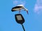 white stork perched on top of LED street lamp. scratching your head concept
