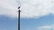 White stork sits in a nest on a pole on a summer day