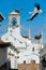 White storks in Faro, Portugal