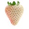 White strawberry