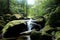 White stream waterfall in dark forest with moss