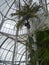 White structure of a botanical garden in a park in Curitiba