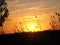 The white sun on an autumn afternoon illuminating the sky, Lleida, Spain, Europe