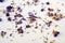 White surface sprinkled with many tiny dried petal flower Limonium, abstract background