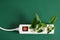 white surge protector with a red power button and green leaves of a plant on a green background