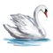 White Swan bird on the pond, art illustration painted with watercolors isolated on white background