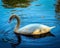 White Swan, Blue Water