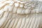 White Swan Feathers Background, Goose Plume Pattern, White Wings Feather Texture