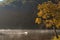 White swan floating in Pang Ung lake during morning sunlight, Pang Ung at Mae Hong Son province, North of thailand.Travel concept