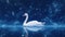 A white swan floating on top of a body of water