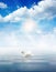 White Swan on lake blue sky with clouds wallpaper