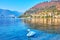 White swan on Lake Como, Como, Lombardy, Italy