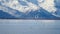 White Swan in Lake Mountains Landscape. Swans in the winter Iceland.