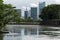 White swan and lake in the park with modern Tokyo cityscape with skyscrapers