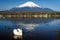 White swan at lake yamanaka with Fuji