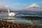 White Swan of Lake Yamanaka with Mt. Fuji